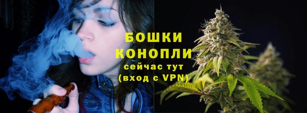 МДПВ Вяземский