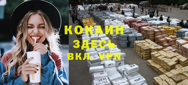 МДПВ Вяземский