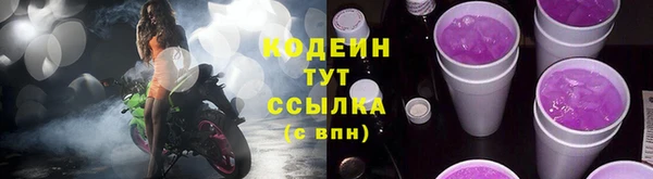 МДПВ Вяземский