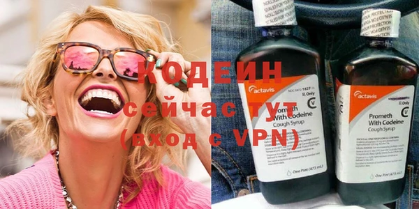 МДПВ Вяземский