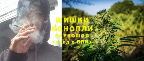 МДПВ Вяземский